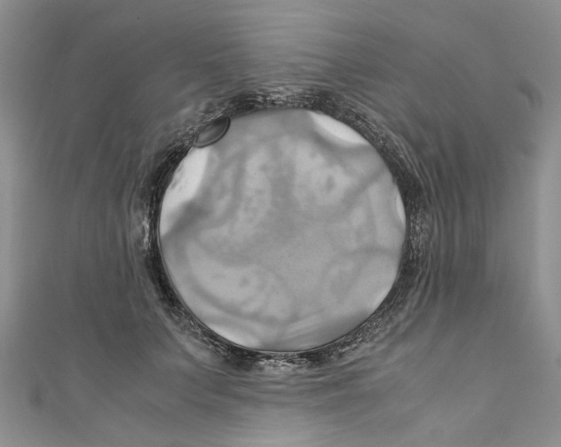 X0000110970703200907171711