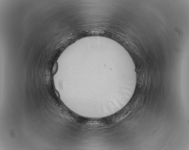 X0000110970704200907171711