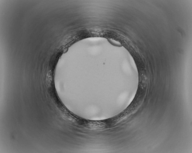 X0000110970707200907171711