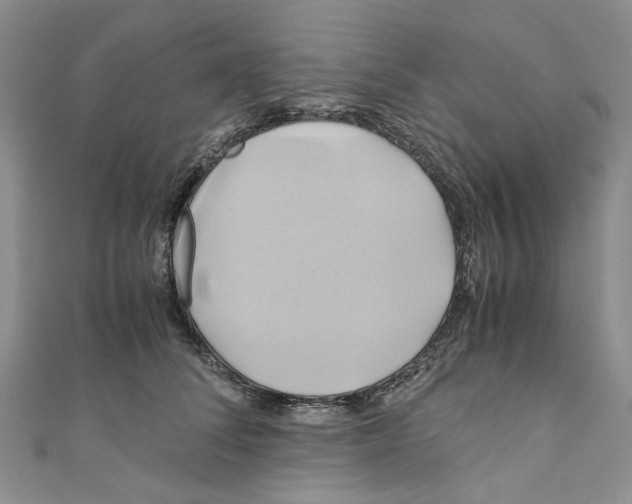 X0000110970708200907171711
