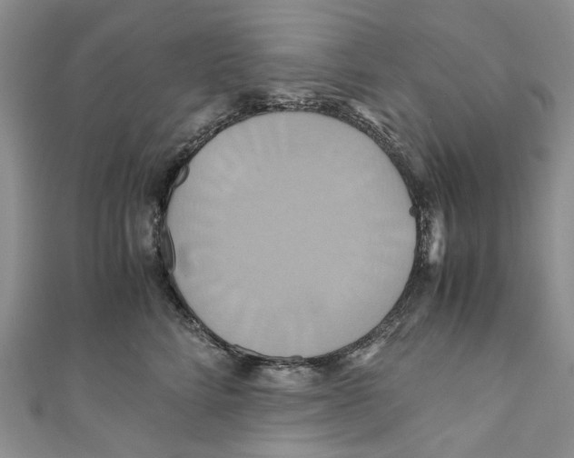 X0000110970712200907171711