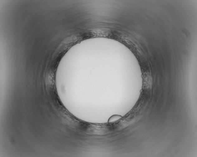 X0000110970713200907171711