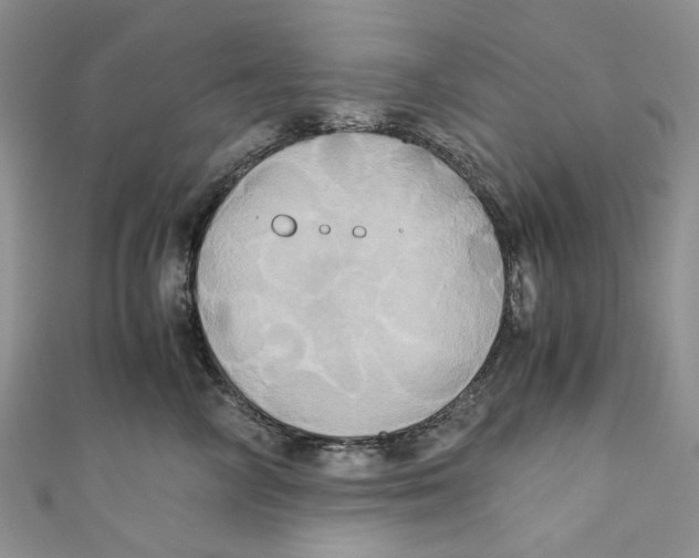 X0000110970714200907171711