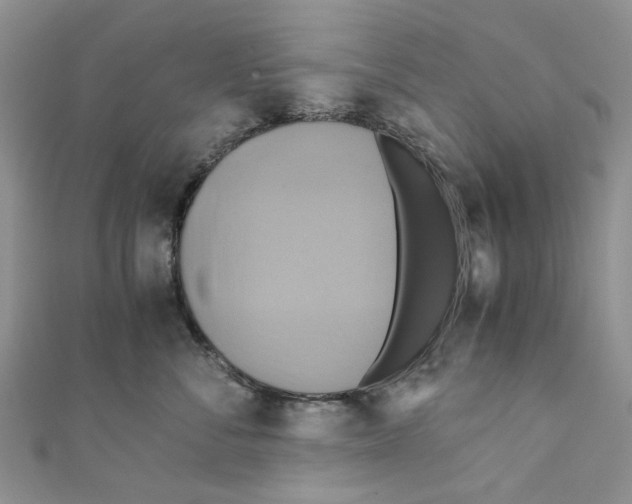 X0000110970716200907171711