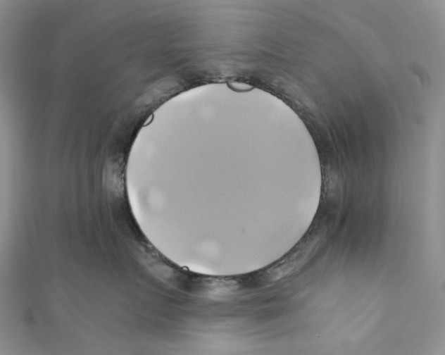 X0000110970719200907171710