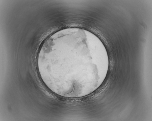 X0000110970721200907171710