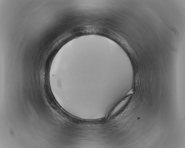 X0000110970722200907171710