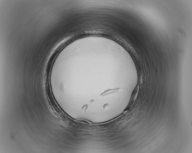 X0000110970724200907171710