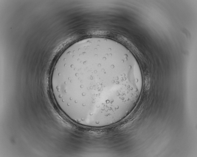 X0000110970725200907171710
