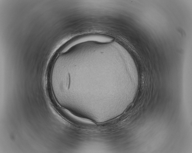 X0000110970726200907171710