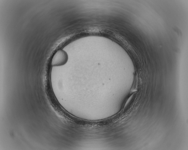 X0000110970728200907171710