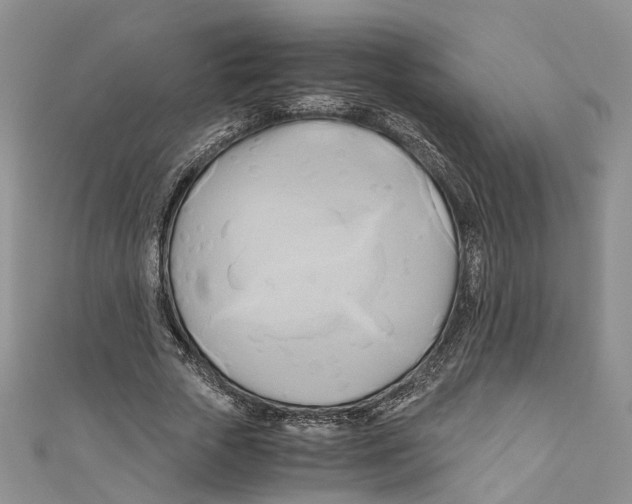 X0000110970729200907171710