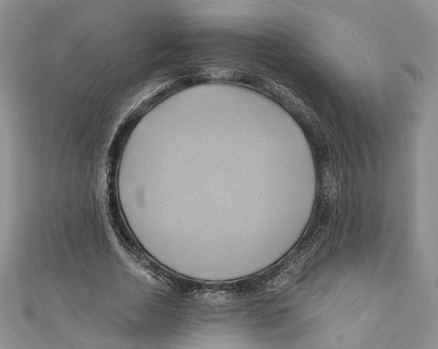X0000110970730200907171710