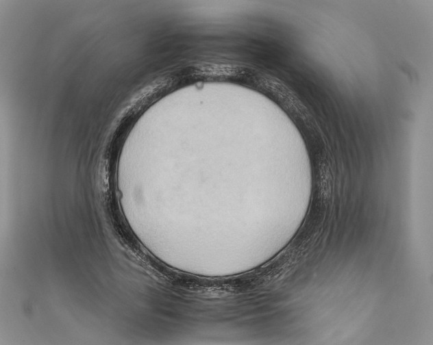 X0000110970731200907171710
