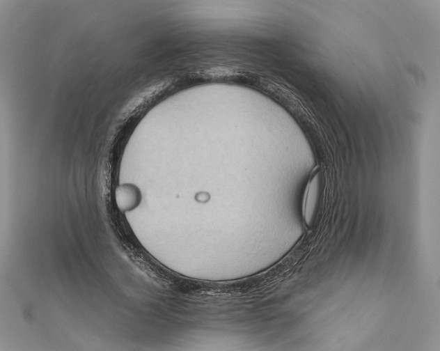 X0000110970732200907171710