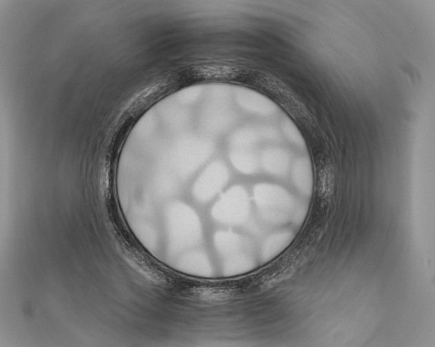 X0000110970733200907171710