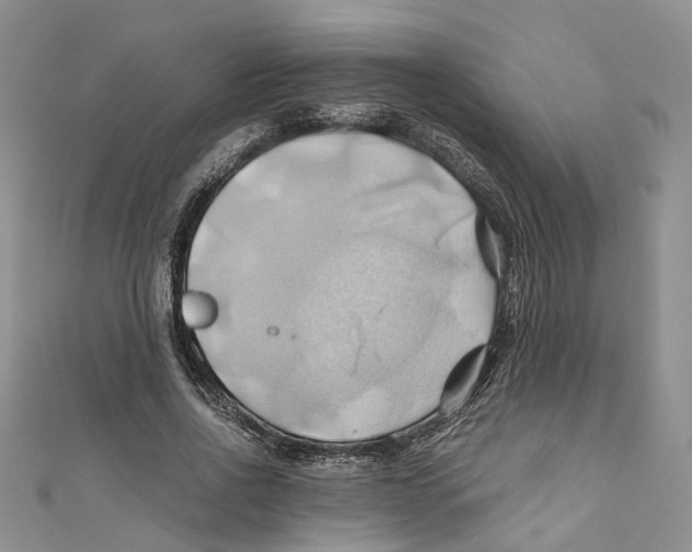 X0000110970734200907171710