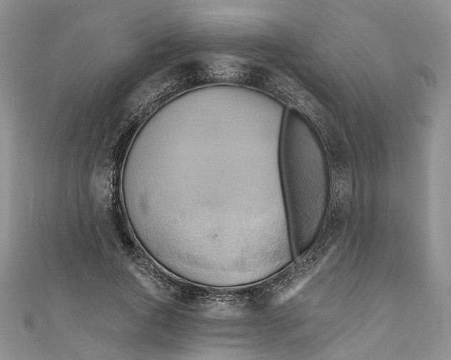 X0000110970736200907171710