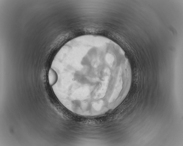 X0000110970738200907171710