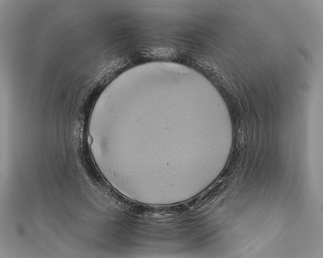 X0000110970739200907171710