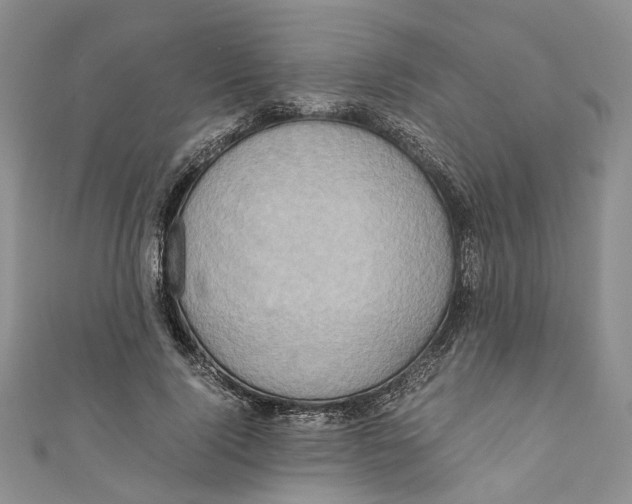 X0000110970740200907171710