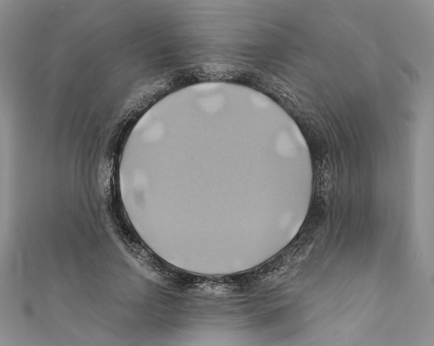 X0000110970742200907171710