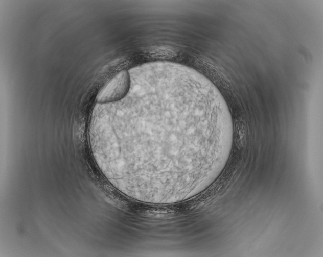 X0000110970745200907171710