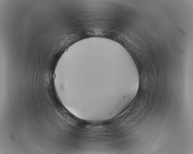 X0000110970747200907171710