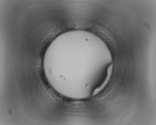 X0000110970748200907171710