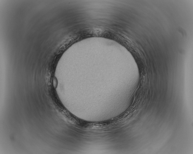 X0000110970750200907171710