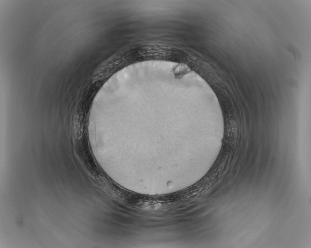 X0000110970751200907171710