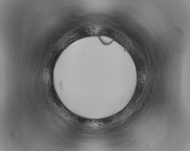 X0000110970754200907171710