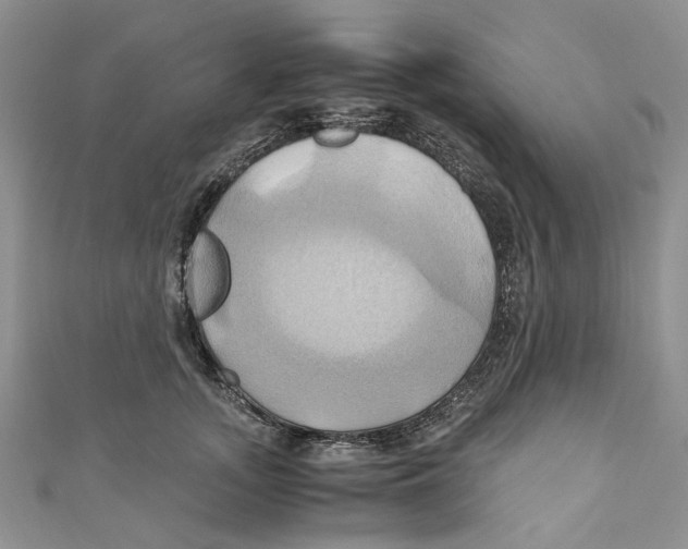 X0000110970755200907171710