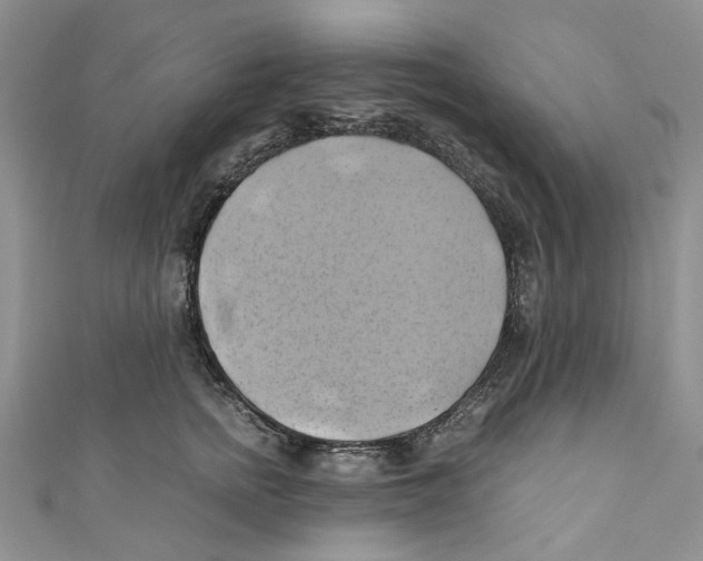 X0000110970758200907171710