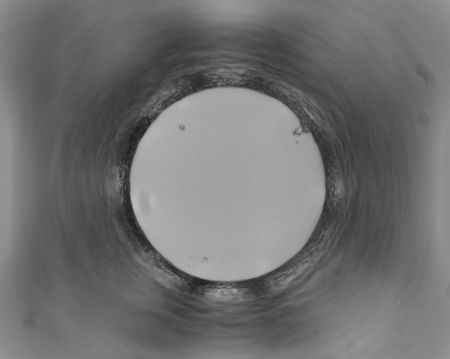 X0000110970759200907171710
