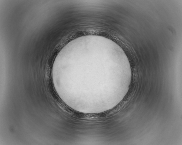 X0000110970760200907171710