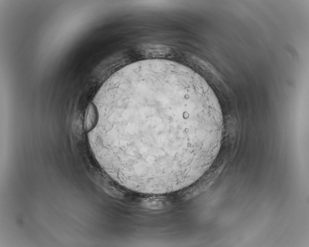 X0000110970761200907171710