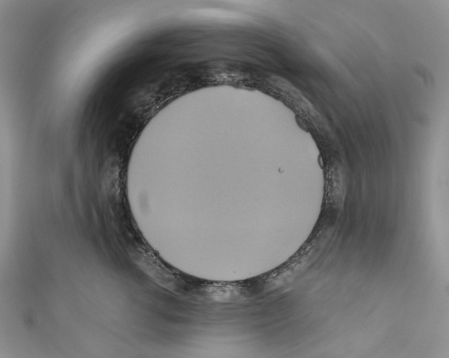 X0000110970762200907171710