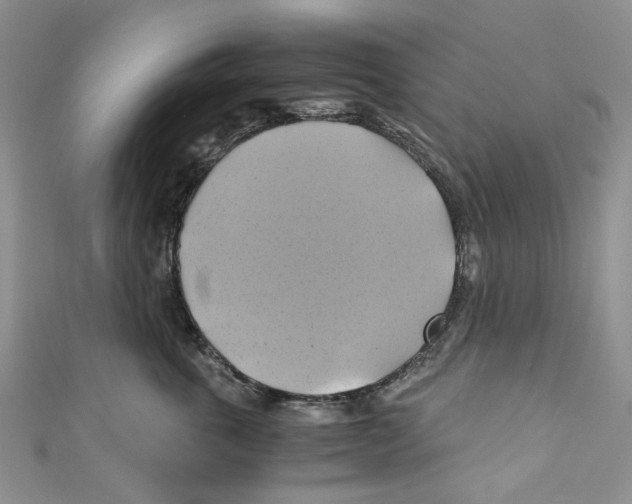 X0000110970763200907171710