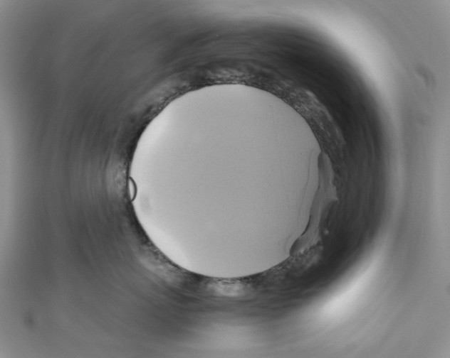 X0000110970767200907171710