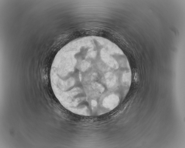 X0000110970771200907171710