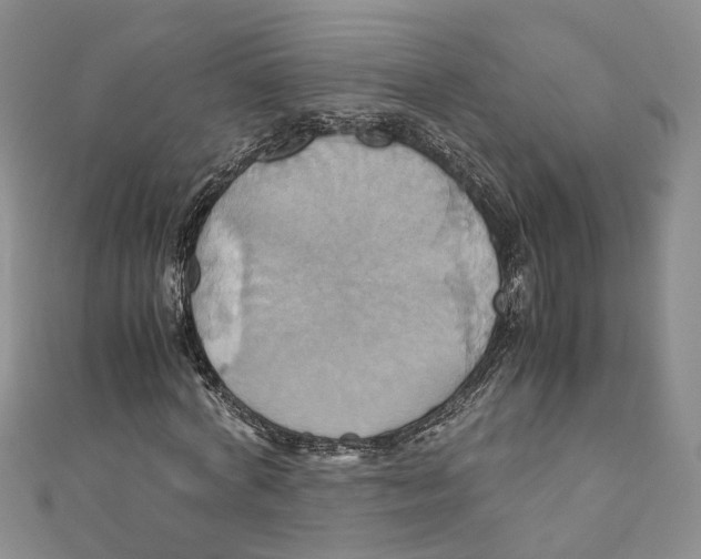 X0000110970772200907171710