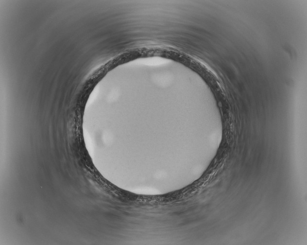 X0000110970775200907171710