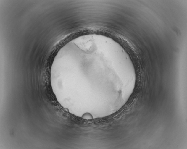 X0000110970776200907171710
