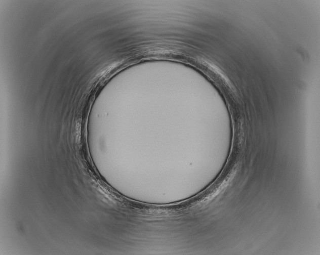 X0000110970777200907171710