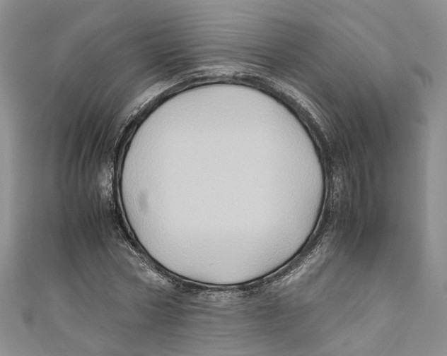 X0000110970778200907171710