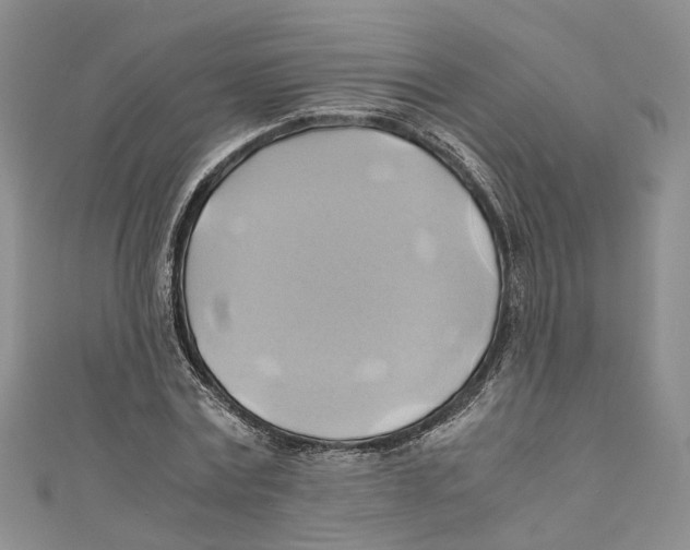 X0000110970779200907171710