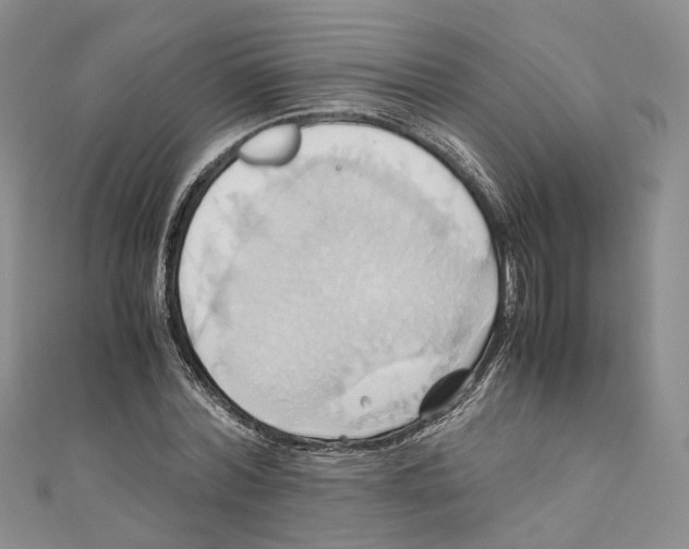 X0000110970780200907171710