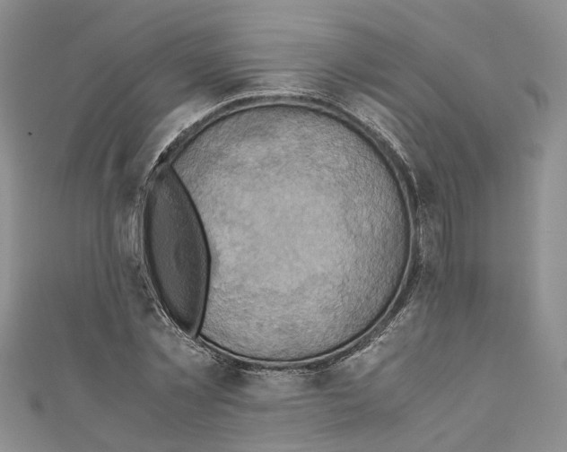 X0000110970781200907171710