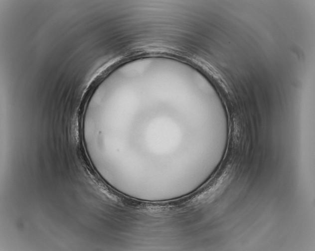 X0000110970782200907171710